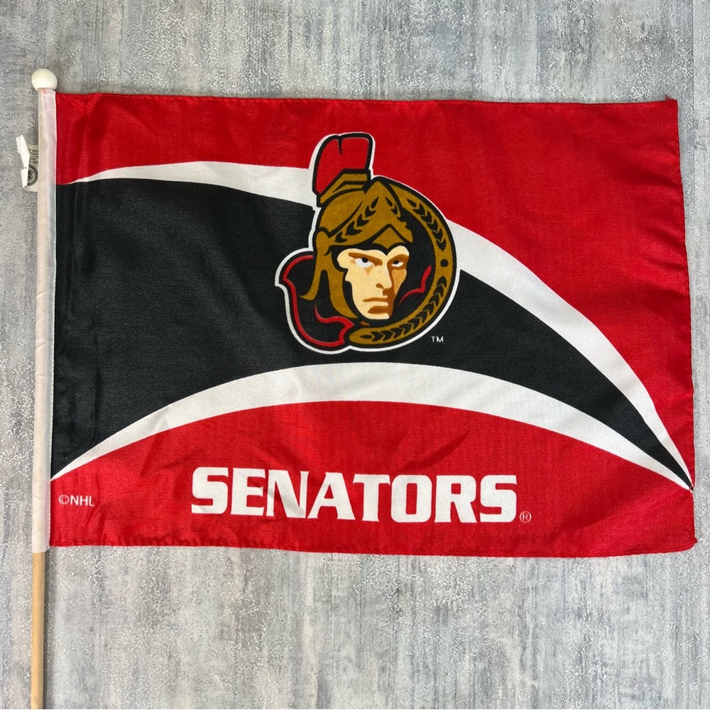 Vintage Ottawa Senators Mini Flag Rare 18”x12.5” NHL Hockey